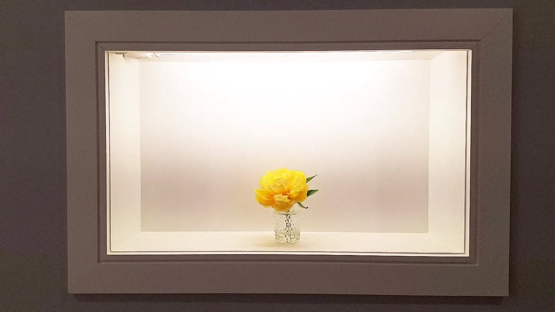 Backlit display niche with flower